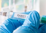 Apa Itu Vaksin Rabies, Siapa Penemu Vaksin Rabies