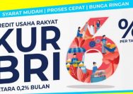 Cek Kuota KUR BRI