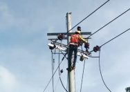 Listrik di Batam dan Bitan Alami Gangguan, PLN Segera Lakukan Pemulihan Sistem